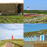 Texel Collage 03